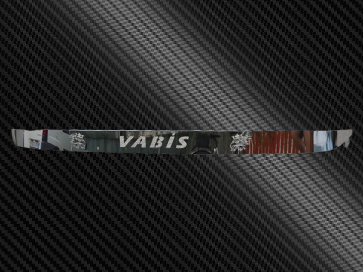 Barre pare-pierres décorative – Barre d’essuie-glace avant adaptée pour Scania R 2004–2016, inscription manuscrite SCANIA avec logos aigle, inox 304