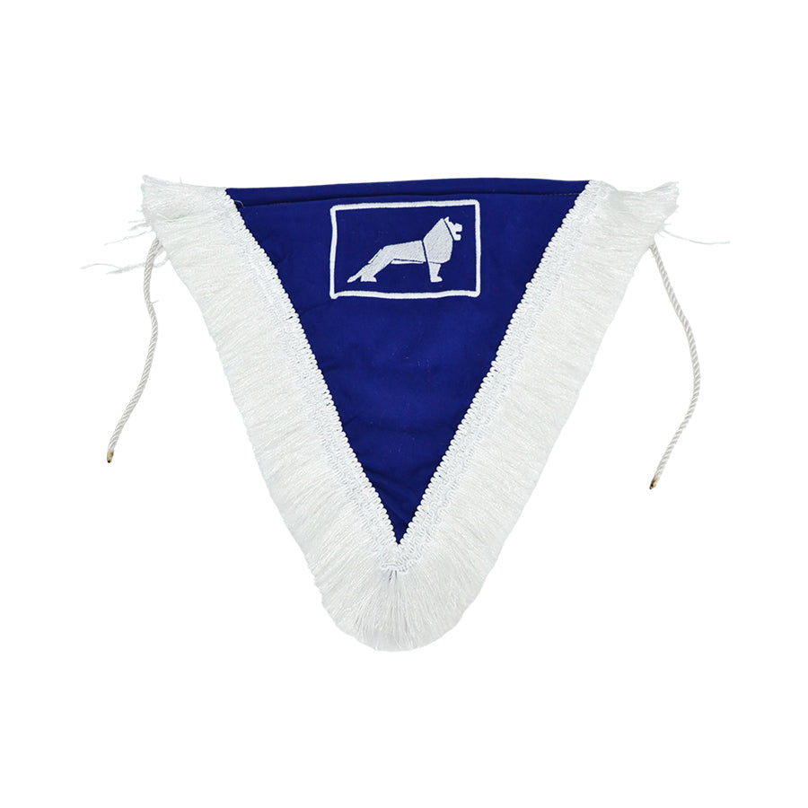 Drapeau recto-verso adapté pour MAN – Bleu, 40 x 33 cm, fixation par ventouse