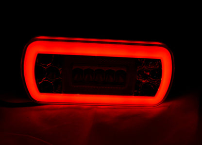 Feu arrière combiné ovale à LED néon, 12V, 224×104×51 mm